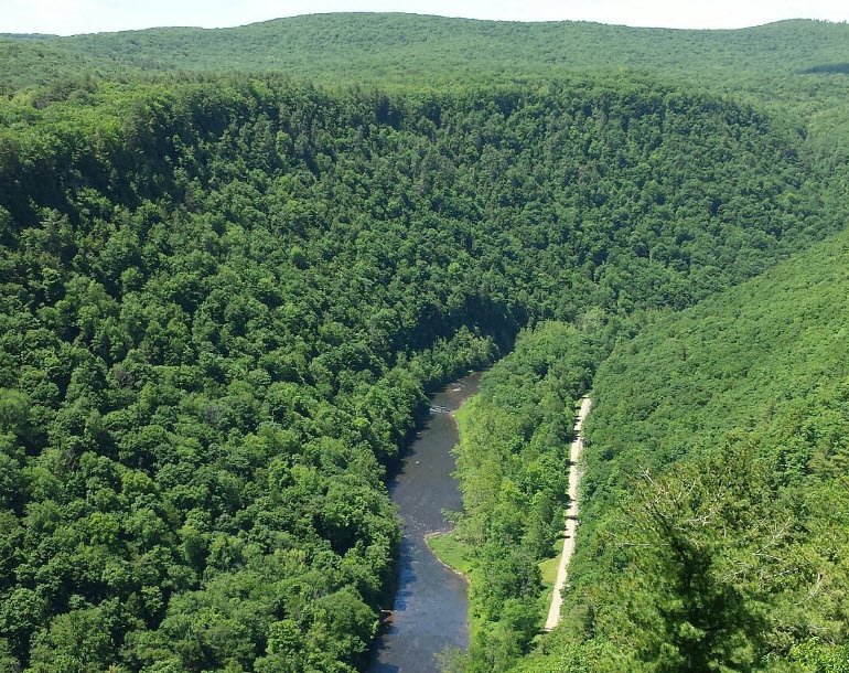Leonard Harrison State Park, Pennsylvania, USA